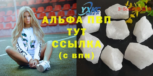дмт Белокуриха