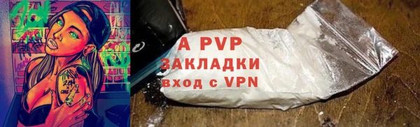 дмт Белокуриха