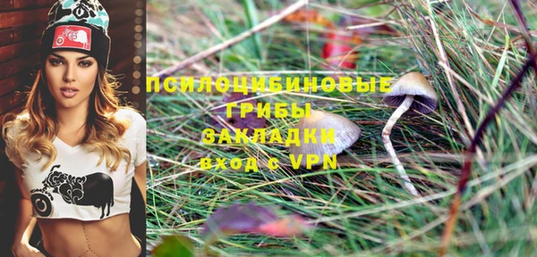 дмт Белокуриха