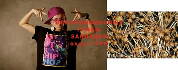 марки lsd Белоозёрский