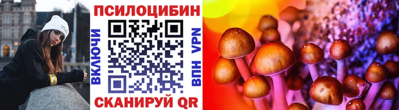 кракен как зайти Заречный Псилоцибиновые грибы Magic Shrooms