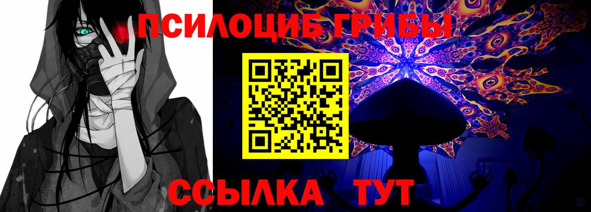 Псилоцибиновые грибы Psilocybine cubensis Заречный